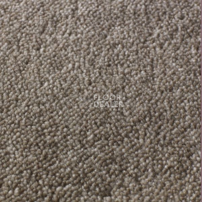 Ковролин Jacaranda Carpets Rajgarh Dappled Brown фото 1 | FLOORDEALER